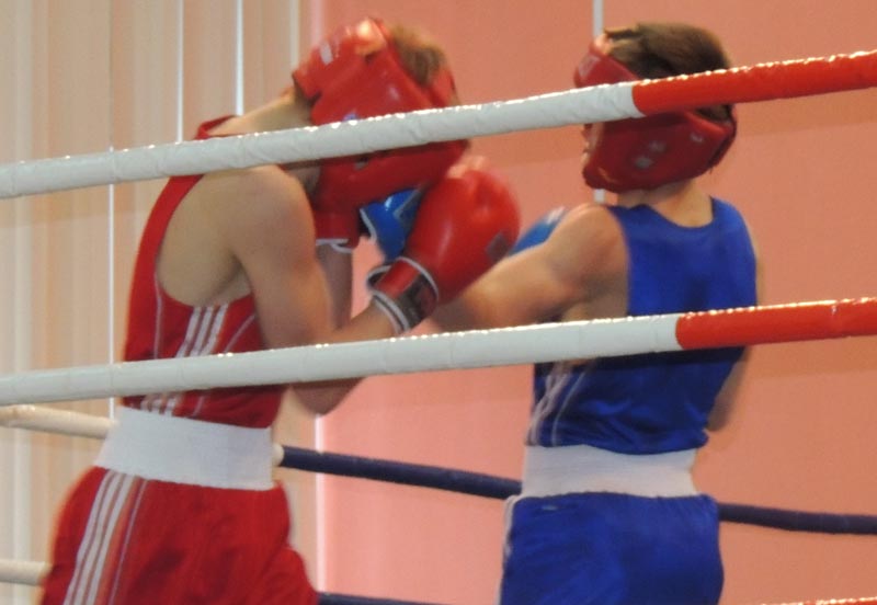 Первенство по боксу в Новосибирске